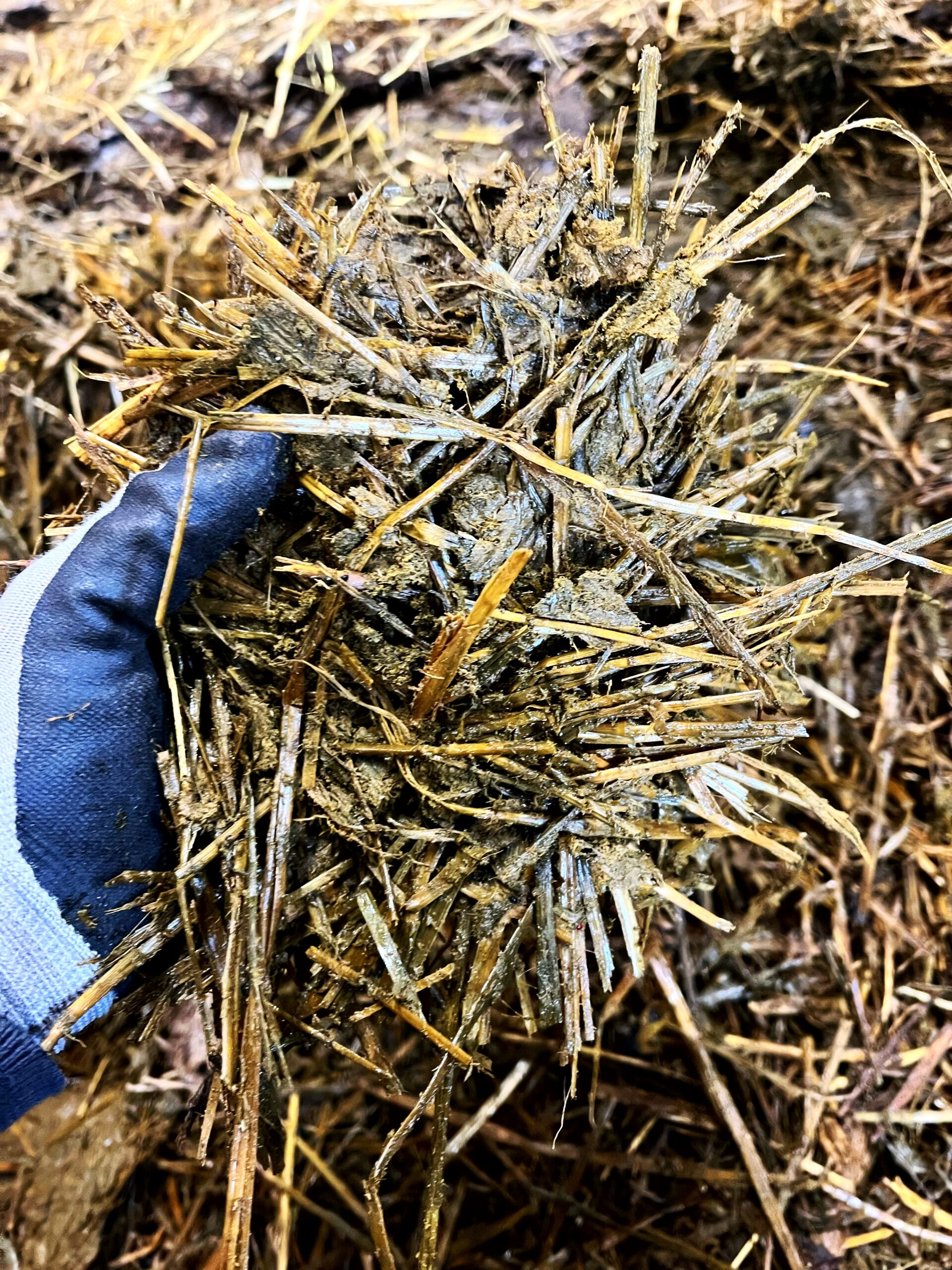 Behöver du gödsel?