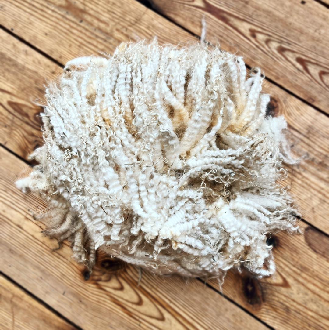 Nu är lammullen här!